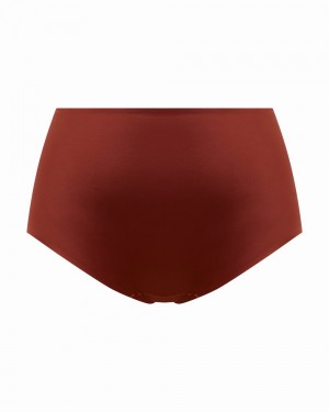 Red Spanx Shaping Satin Brief | RKEBU-3582