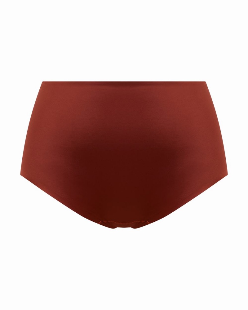 Red Spanx Shaping Satin Brief | RKEBU-3582